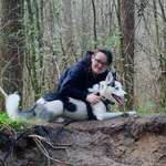 Ersteller:in Asaku Profilbild