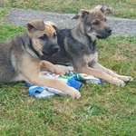 Ersteller:in Tanja Profilbild