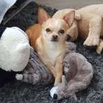 Ersteller:in Katrin Profilbild