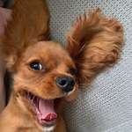 Ersteller:in Cethy Profilbild