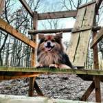 Ersteller:in Marina Profilbild