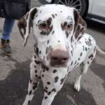 Ersteller:in Meli Profilbild