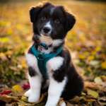 Ersteller:in Mercedes Profilbild