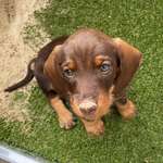 Ersteller:in Fee Profilbild