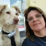 Ersteller:in Ki Profilbild