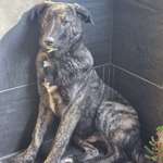 Ersteller:in Anja Profilbild