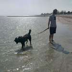 Ersteller:in Tobias Profilbild