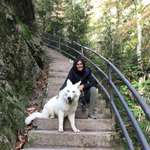 Ersteller:in Nesara Profilbild