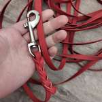 Biothane Schleppleine 15m für kleine Hunde von LENNIE-Beitrag-Bild