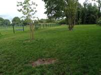 Hundeauslaufgebiet-Hundepark Vechta-Bild