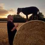 Ersteller:in Leon Profilbild