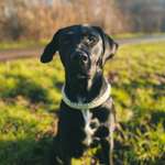 Ersteller:in Lisa Profilbild