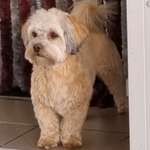 Ersteller:in Anke Profilbild