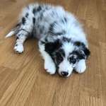 Ersteller:in Sina Profilbild