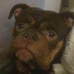 Ersteller:in Hanna Profilbild