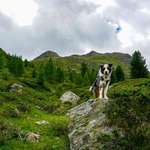 Ersteller:in Vivi Profilbild