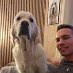 Ersteller:in Paul Profilbild