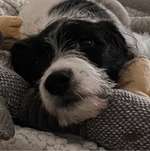 Ersteller:in Alex Profilbild