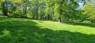 Hundeauslaufgebiet-Stadtpark Hundewiese-Bild