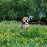 Ersteller:in Heike Profilbild