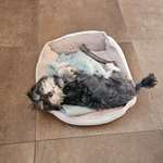 Ersteller:in Luise Profilbild