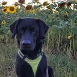 Ersteller:in Katja Profilbild