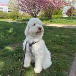 Ersteller:in Fabienne Profilbild