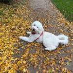 Ersteller:in Fabienne Profilbild