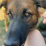 Ersteller:in Jana Profilbild