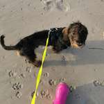 Ersteller:in Nadine Profilbild