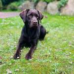 Ersteller:in Nadine Profilbild