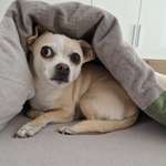 Ersteller:in Tanja Profilbild