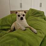 Ersteller:in Tanja Profilbild