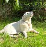 Ersteller:in Mandy Profilbild