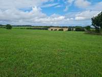 Hundeauslaufgebiet-Übungsplatz Bundeswehr Bruchsal-Bild