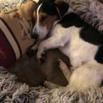 Ersteller:in Sieglinde Profilbild