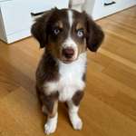 Ersteller:in Florian Profilbild