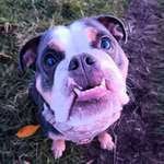 Ersteller:in A. Profilbild