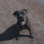 Ersteller:in Eileen Profilbild