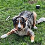 Ersteller:in Cornelia Profilbild