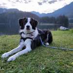 Ersteller:in Rike Profilbild