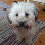 Ersteller:in Marianna Profilbild