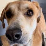 Ersteller:in Sara Profilbild