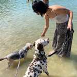 Ersteller:in Chiara Profilbild