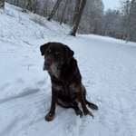 Ersteller:in Alexandra Profilbild