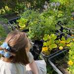 Ersteller:in Pia Profilbild