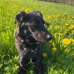 Ersteller:in Jasmin Profilbild