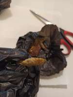 Wer weiß was das sein kann?-Beitrag-Bild