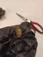 Wer weiß was das sein kann?-Beitrag-Bild