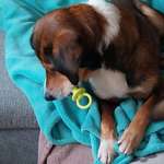 Ersteller:in Sophie Profilbild